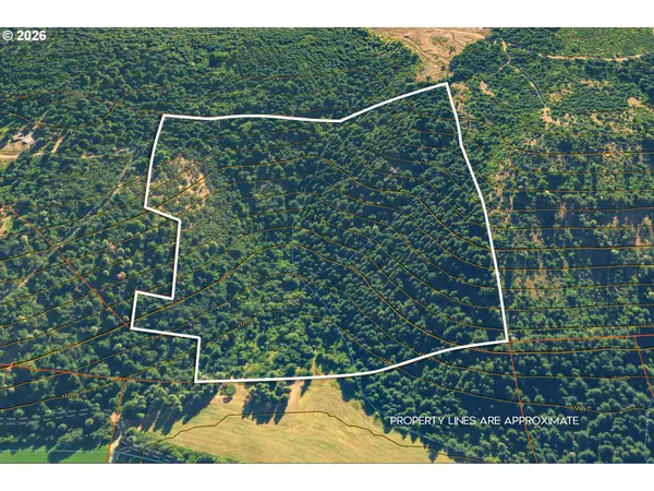 Stoller Rd, TroutLake, WA 98650