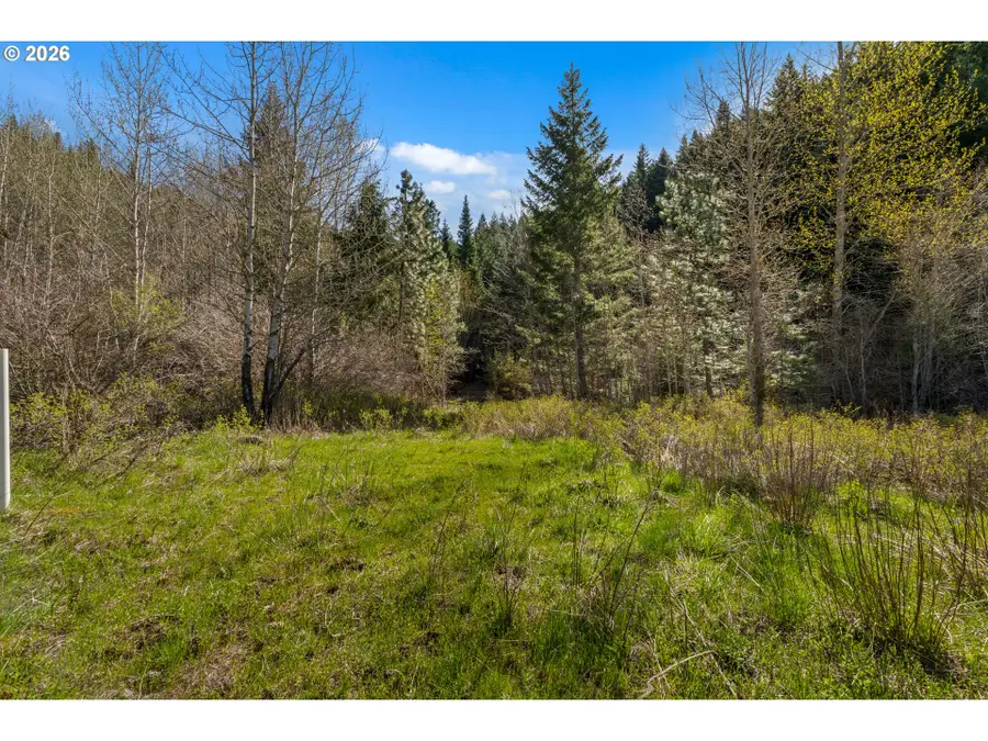 Stoller Rd, Trout Lake, WA 98650 - #3