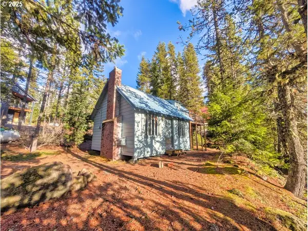 89255 E Government Camp Loop, GovernmentCamp, OR 97028