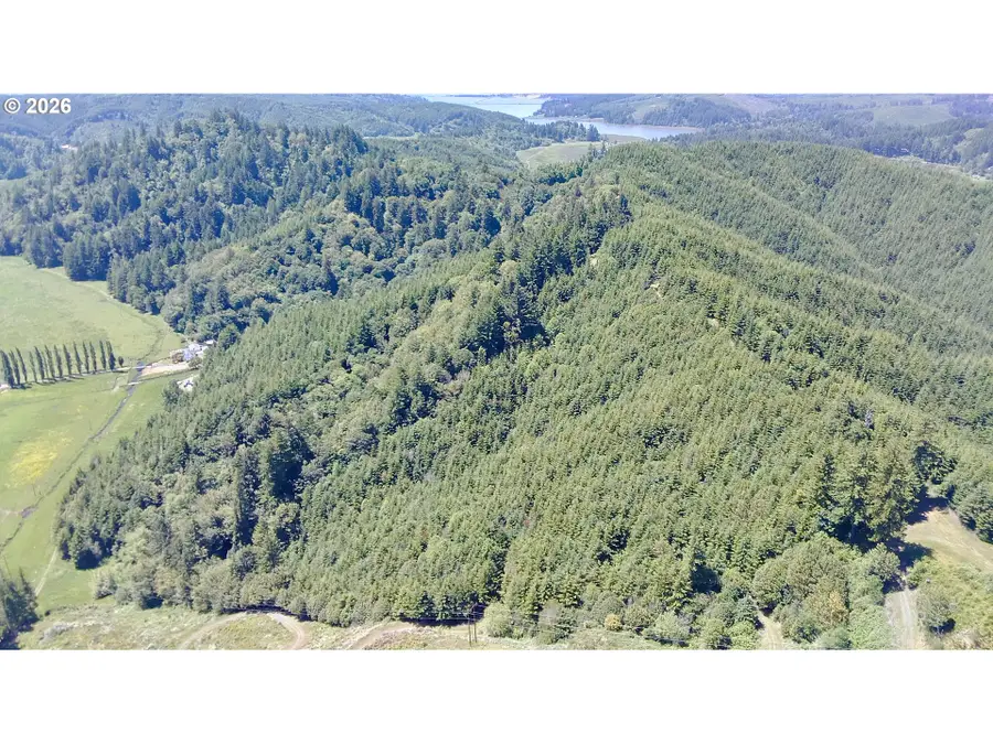 Larson Ln, North Bayside, OR 97459 - #3