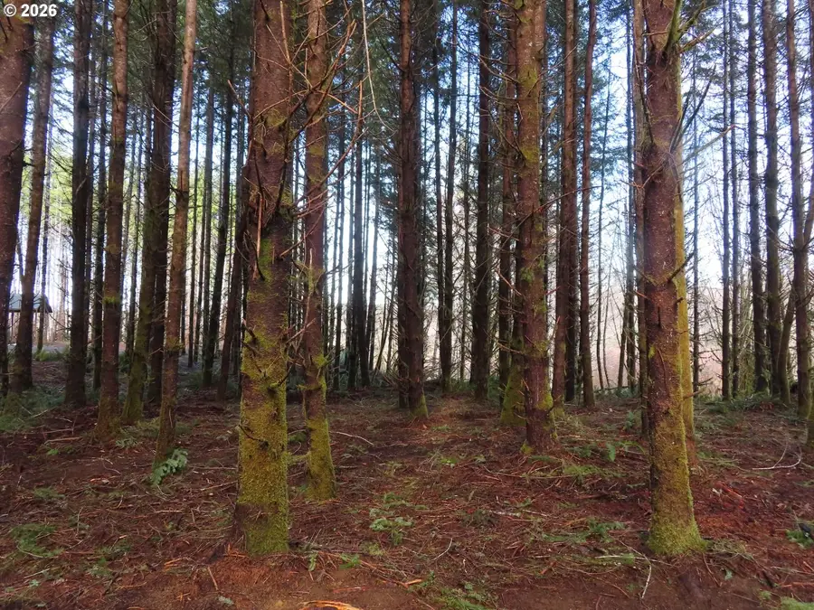 2431 N River Rd, Raymond, WA 98577 - Image #3