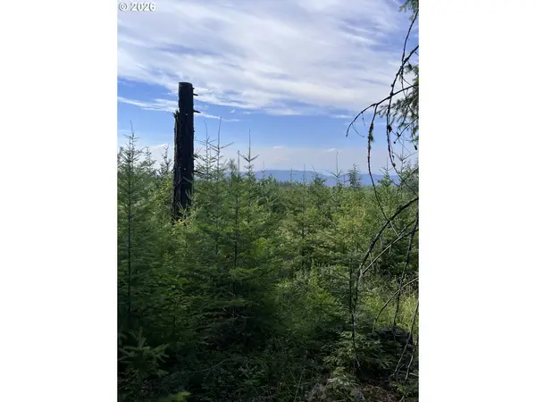00 Winchester, Appleton, WA 98602