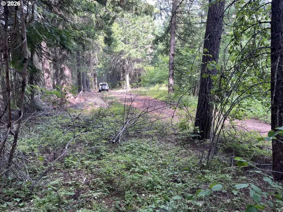 00 Winchester, Appleton, WA 98602 - #2