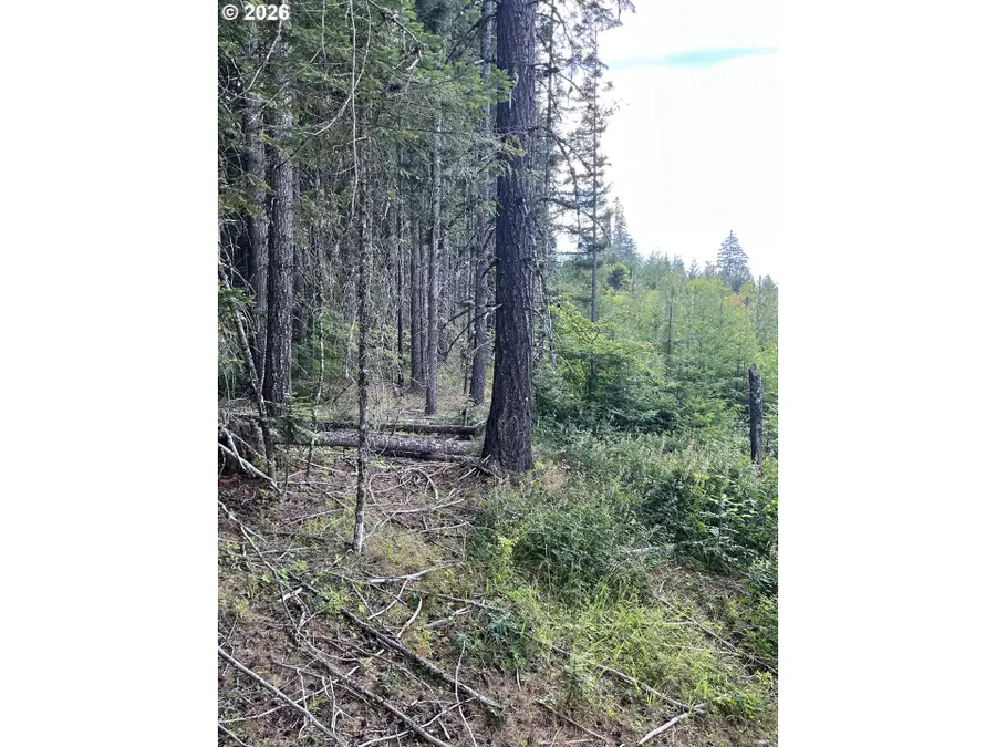 00 Winchester, Appleton, WA 98602 - #3