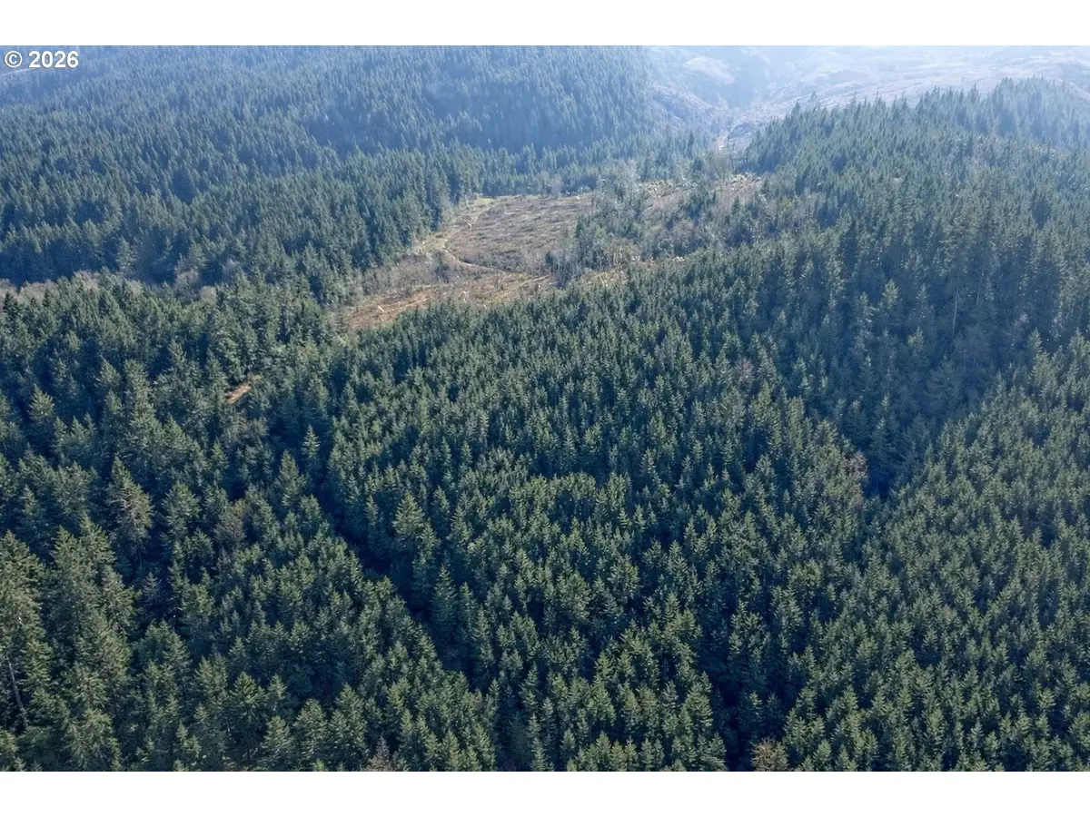 Erickson Rd, Eugene, OR 97402 - Image #1