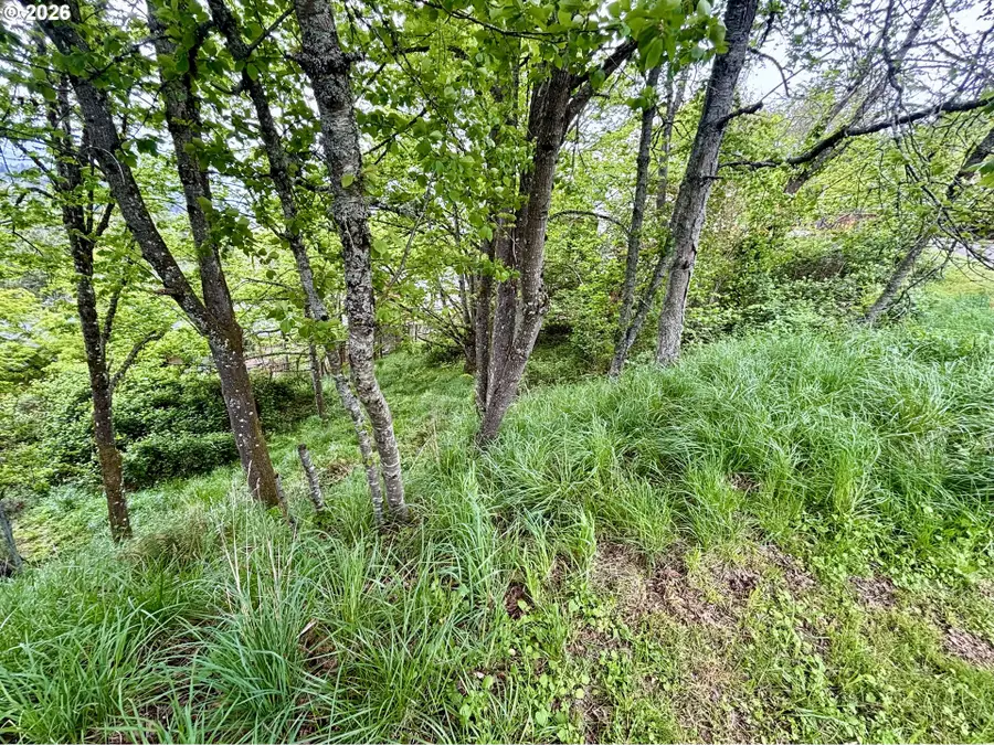 University St, Eugene, OR 97405 - #3