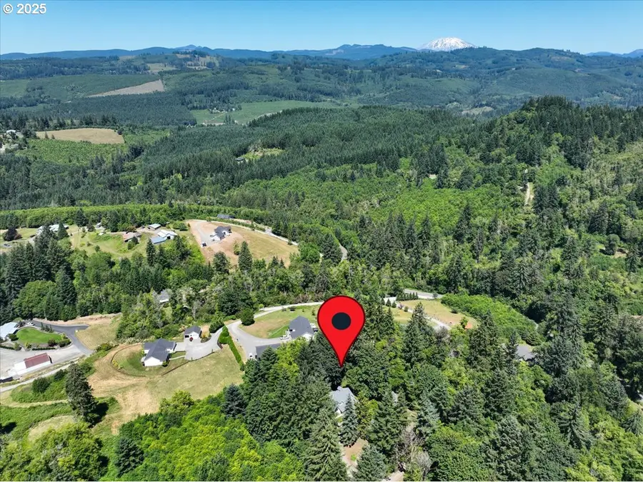 14900 NE 399th St, Amboy, WA 98601 - #3