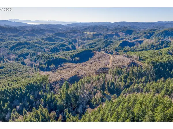 W Deep River Rd, Naselle, WA 98638