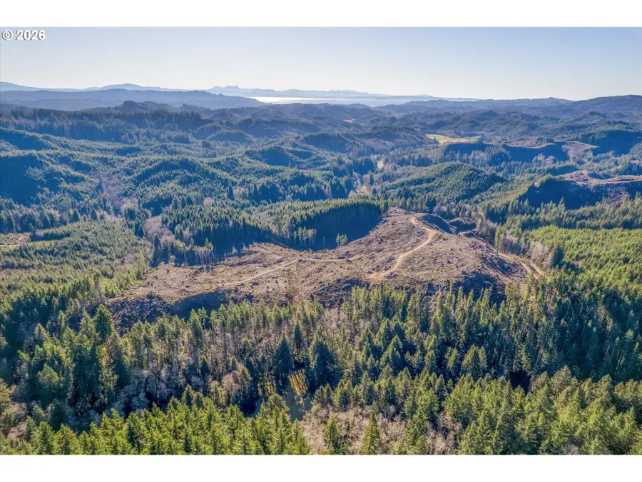 W Deep River Rd, Naselle, WA 98638 - Image #2