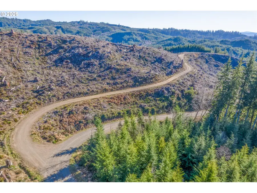 W Deep River Rd, Naselle, WA 98638 - Image #3