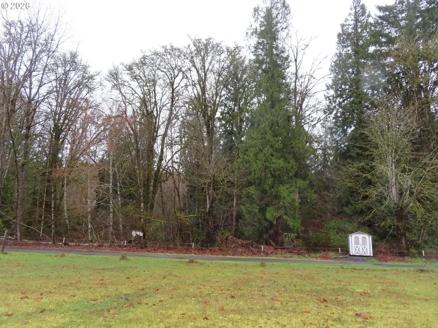 235 Anchor Rd, Castle Rock, WA 98611 - #3