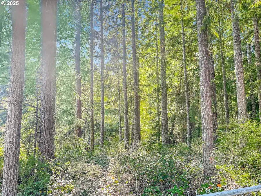 300 Kerr Rd, Silverlake, WA 98645 - Image #3