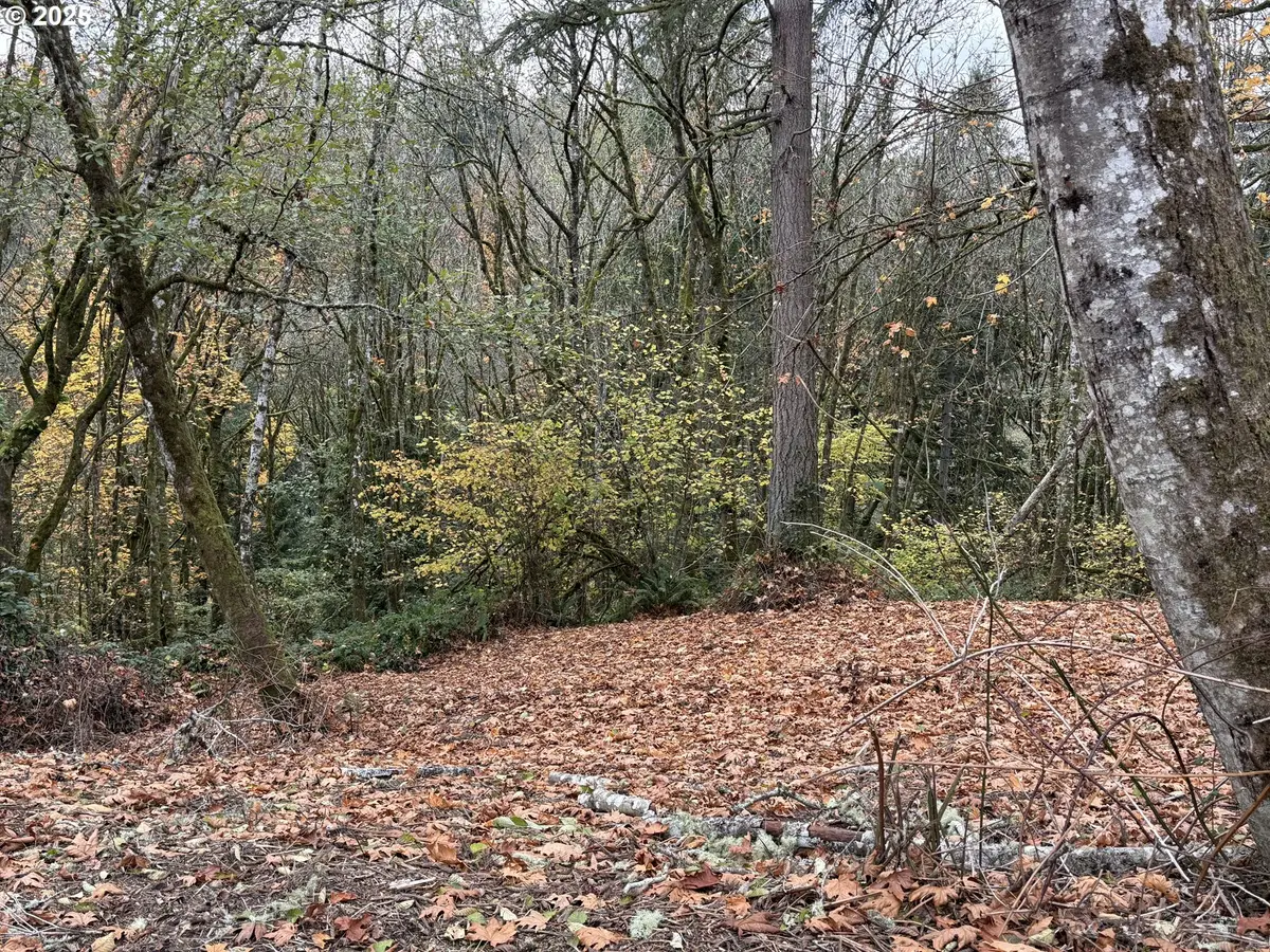 0 Maplewood Dr, Longview, WA 98632 - Image #1