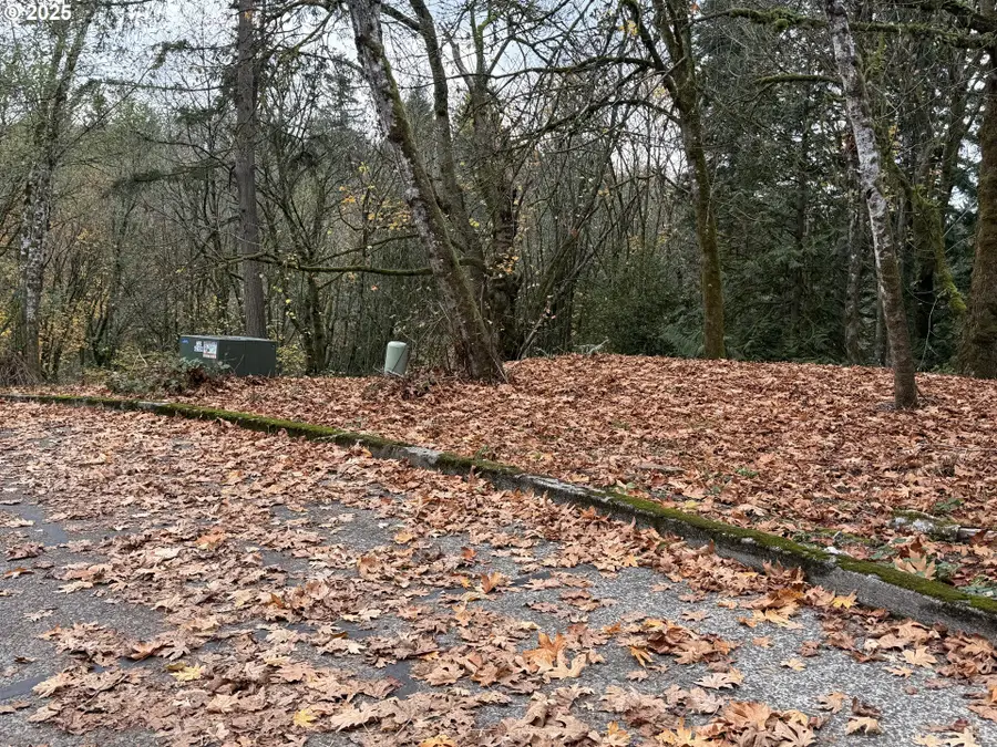 0 Maplewood Dr, Longview, WA 98632 - Image #3