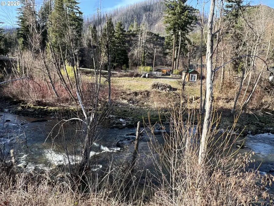 91241 Blue River Rd, McKenzie River, OR 97413 - #2