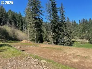 62 Wallace Creek Rd, Carson, WA 98610 - #1