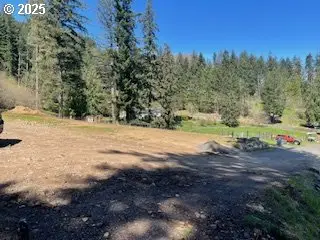 62 Wallace Creek Rd, Carson, WA 98610 - #3