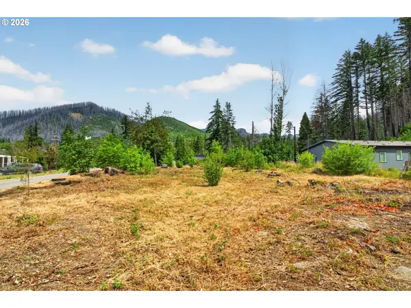 51790 Echo St, BlueRiver, OR 97413