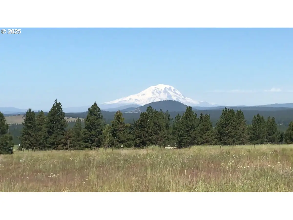 Vogt Lot 3 Way #Lot 3, Goldendale, WA 98620 - Image #1