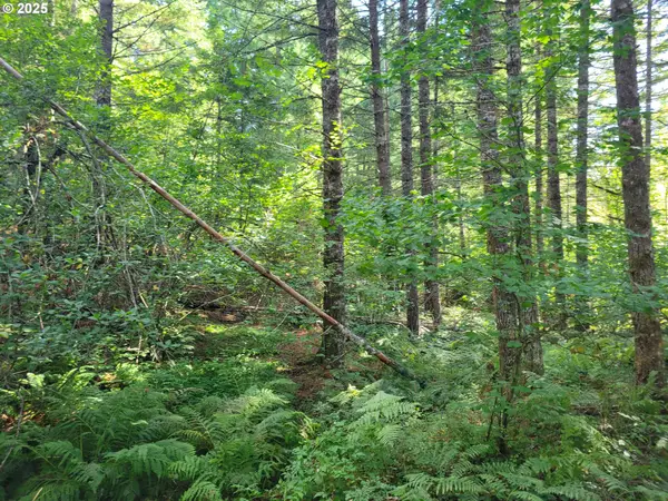 Heslen Rd, Carson, WA 98610