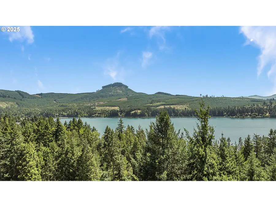 375 Marina Vista Dr, Lowell, OR 97452 - #3