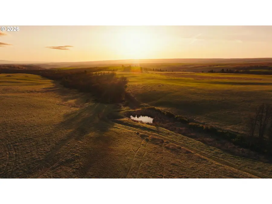 81127 Rail Hollow Rd, Dufur, OR 97021 - #3