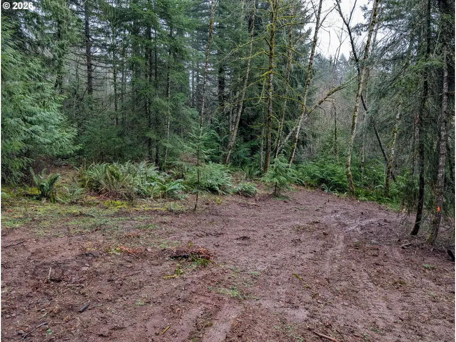 000 NE Berry Rd, Battleground, WA 98604 - #2