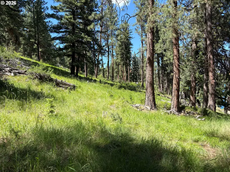 0 Lakeshore Dr, Wallowa Lake, OR 97846 - #3
