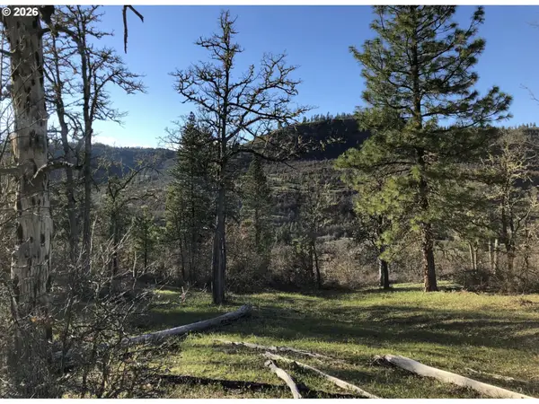 Lot At Wahkiacus, Klickitat, WA 98628
