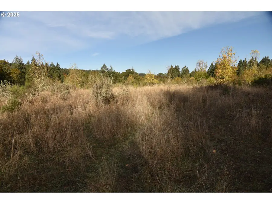 00 Mill Creek, Sheridan, OR 97378 - Image #3