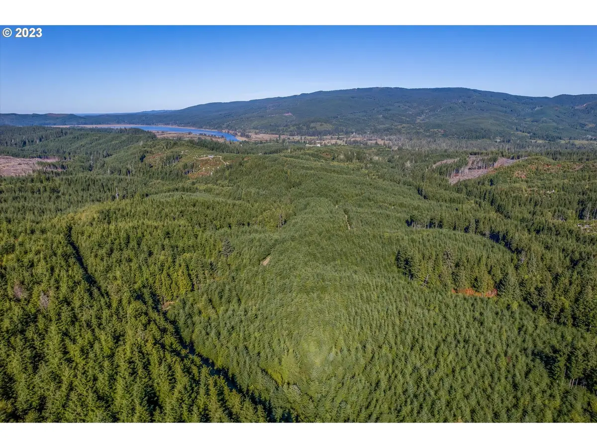 6 Parpala Rd #6, Naselle, WA 98638 - Image #1