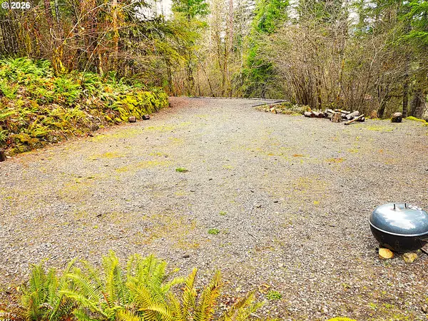 E King Rd, McKenzieBridge, OR 97413