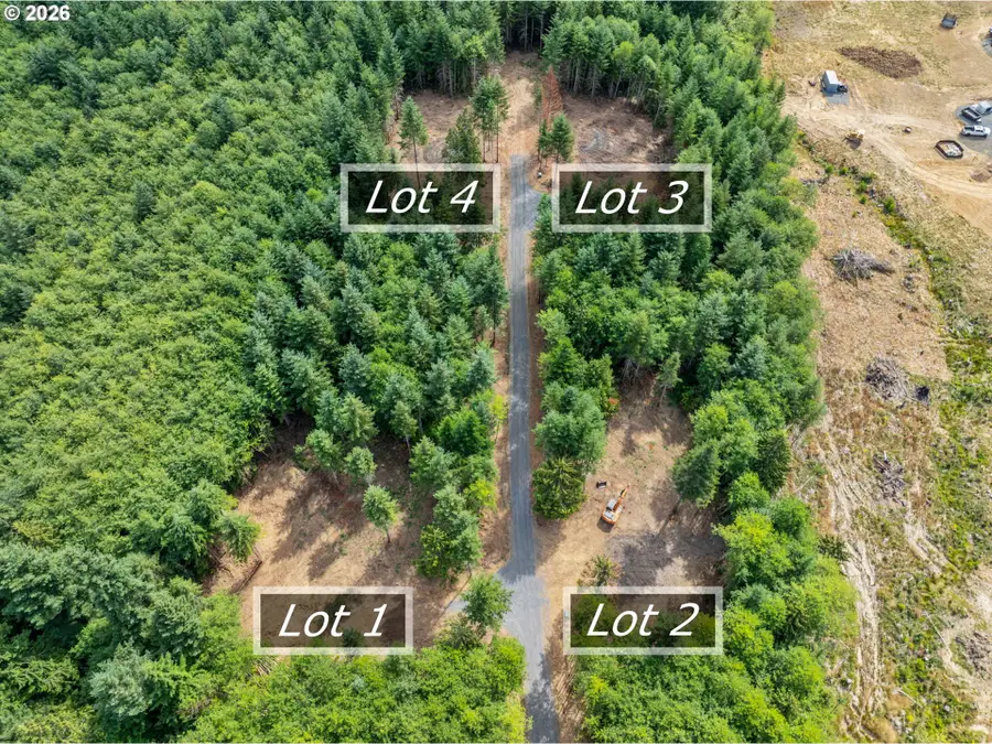 224 Durins Pl, Castle Rock, WA 98611 - #2