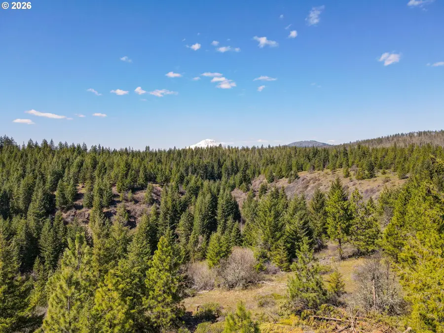10 Piper Ln, Goldendale, WA 98620 - #2