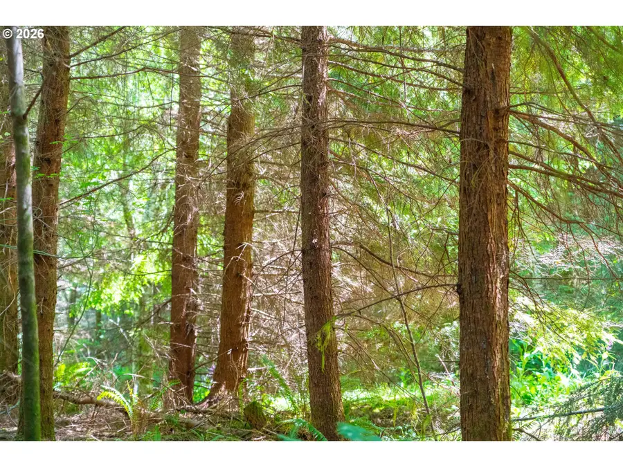 0 Mudd Ln, Astoria, OR 97103 - #3