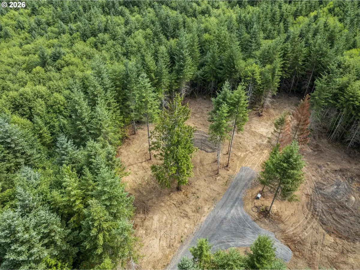 239 Durins Pl, Castle Rock, WA 98611 - #1