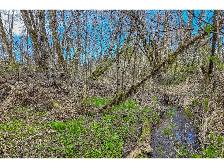 21542 Highway 126, Noti, OR 97461 - #2