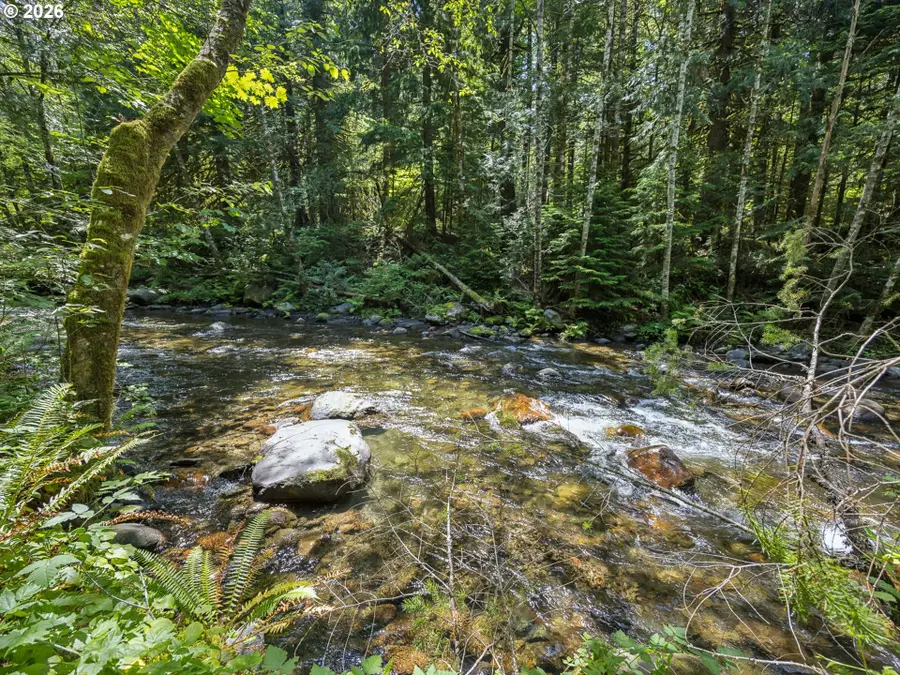 26845 E Rolling Riffle Ln, Rhododendron, OR 97049 - #2