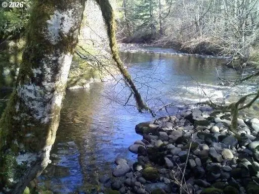 7310 Alvord Alley Rd, Grand Ronde, OR 97347 - #3