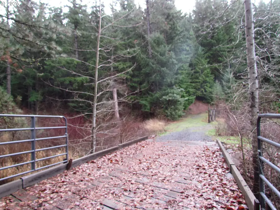 10 Acres Off Acme Rd, Snowden, WA 98672 - Image #2