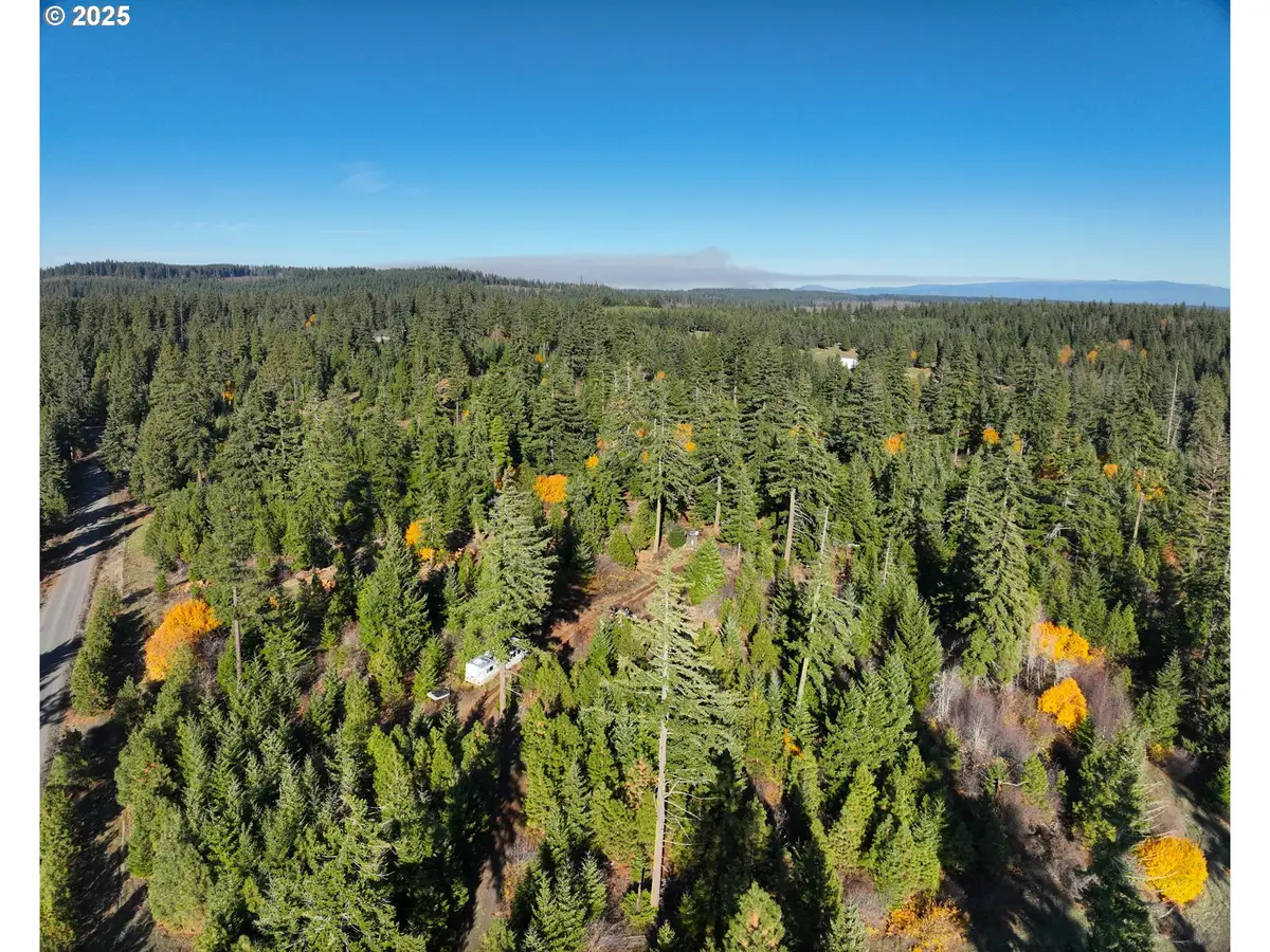 25 Remington Rd, Lyle, WA 98635 - Image #1