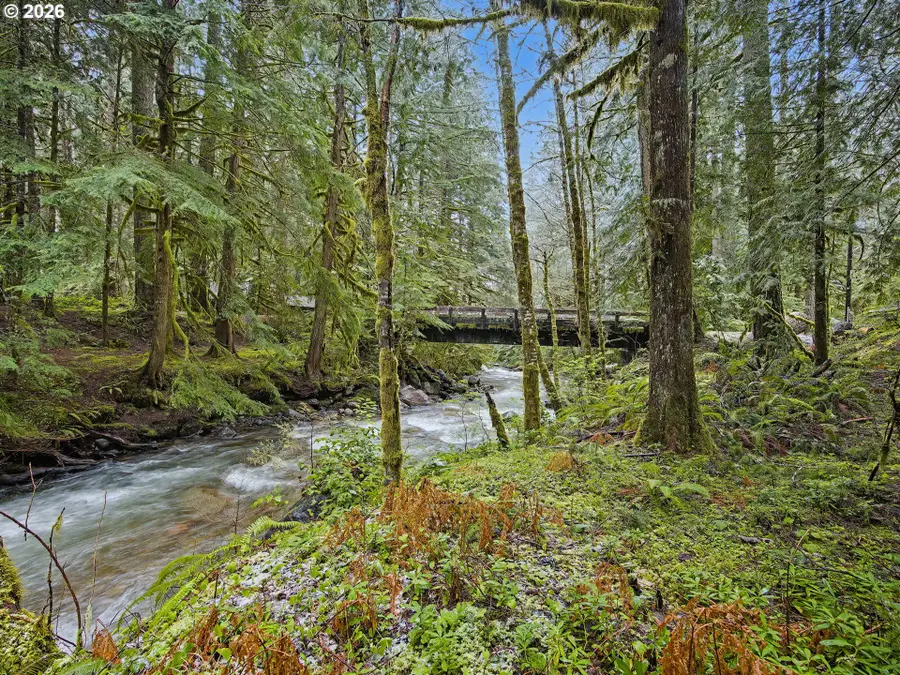 78200 E Rd 35a Lot 4, Mount Hood, OR 97028 - #2