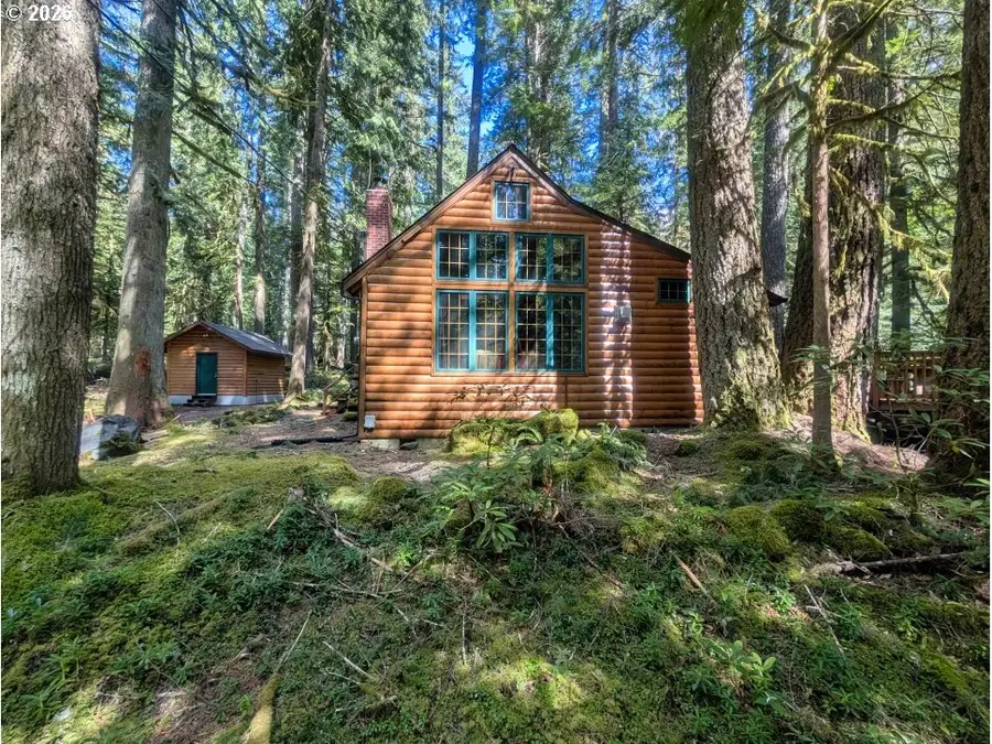 78200 E Rd 35a Lot 4, Mount Hood, OR 97028 - #3