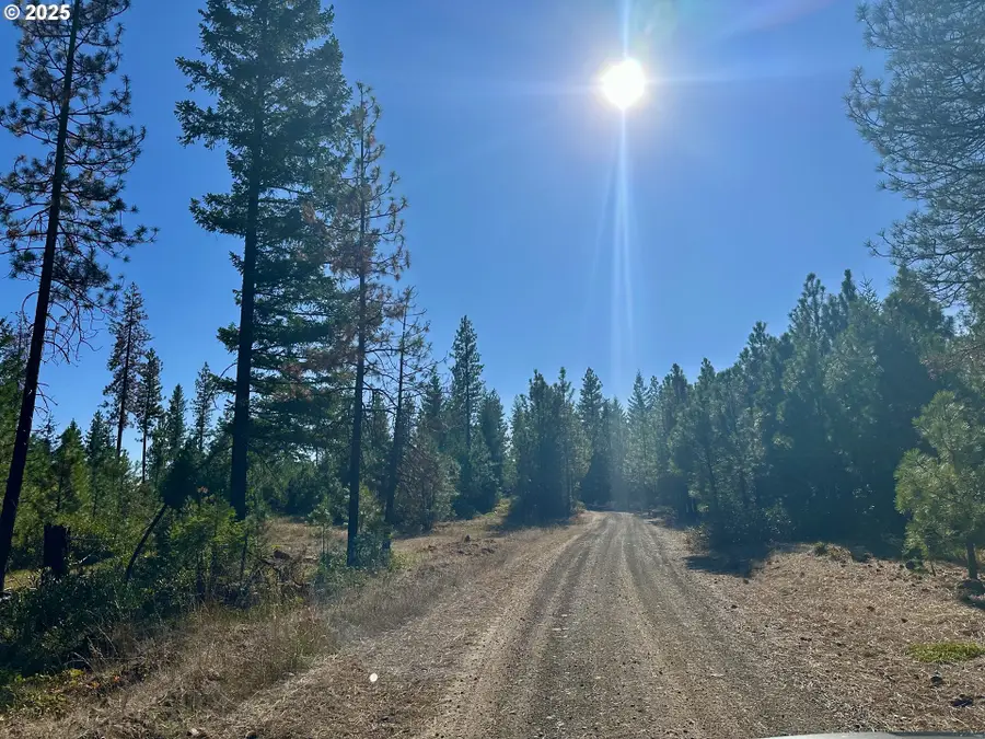 Mule Run Rd #13, Goldendale, WA 98620 - #3