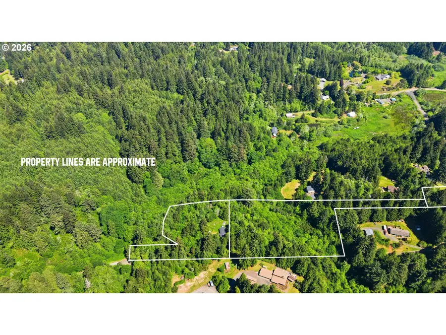 91788 Alderwood Ln, Eastside, OR 97420 - #2