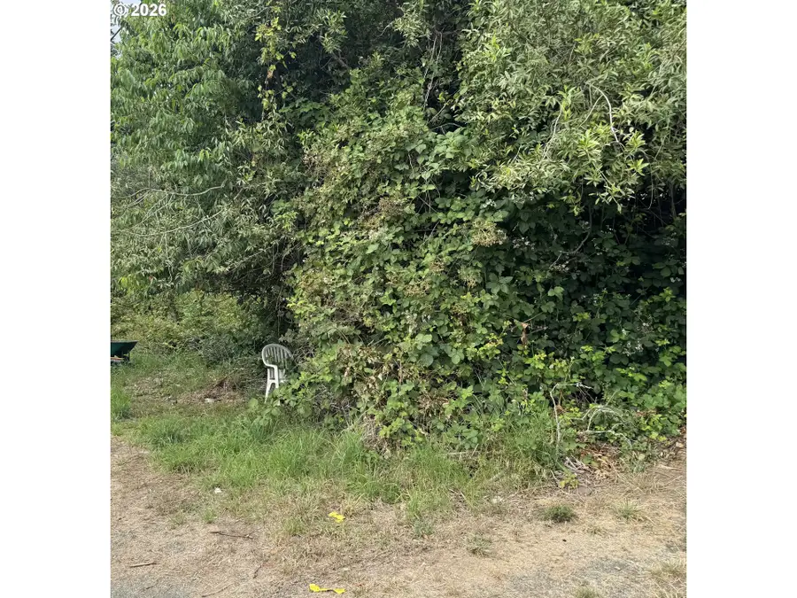 00 A St, Myrtle Point, OR 97458 - #3