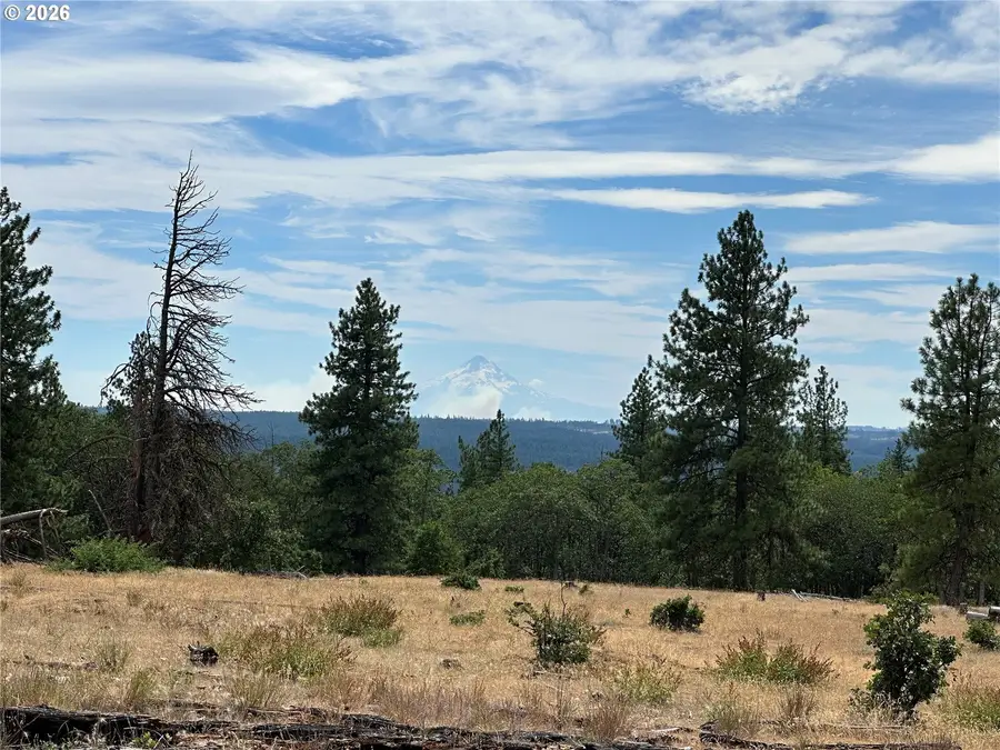 Lot 27 Greyback Mtn Rd #27, Goldendale, WA 98620 - #2