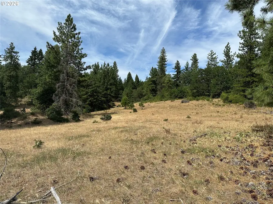 Lot 27 Greyback Mtn Rd #27, Goldendale, WA 98620 - #3