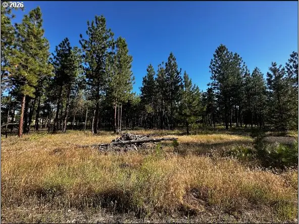 4 Carol Ln, Goldendale, WA 98620 - #1