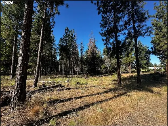 4 Carol Ln, Goldendale, WA 98620 - #2